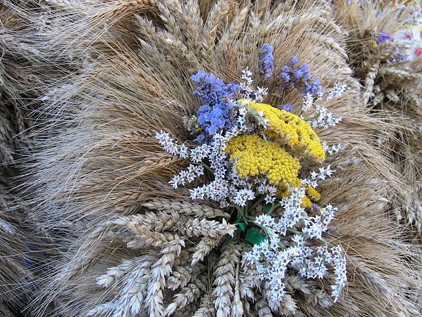 harvest flower ring stock photo