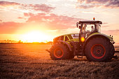 Combine harvesting the wheat on a sunset.