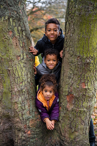 Front-view shot of a young girl and two young boys standing in between two tree trunks, they are wearing warm clothing and smiling while looking at the camera on an autumn day in North East, England.