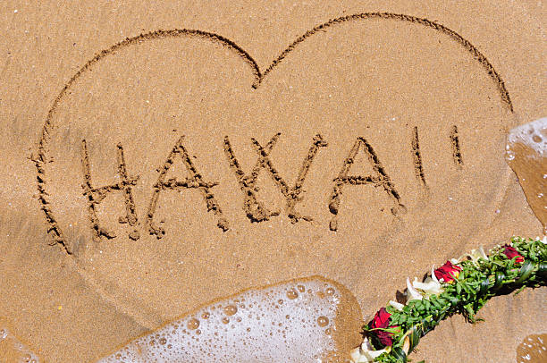 Hawaii in sand with flowers stock photo