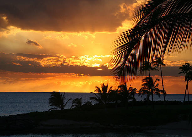 Photo of Hawaii Twilight