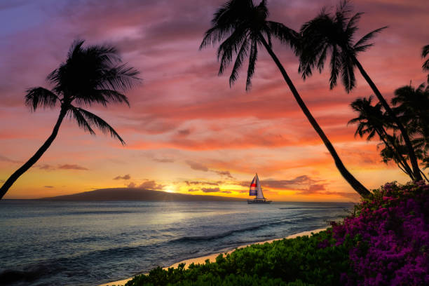 Hawaiian sunset with sailboat and mountains stock photo