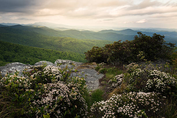 Hawksbill in Bloom Hawksbill Mountain in Full Bloom in the late afternoon Spring Sunset in North Carolina crag stock pictures, royalty-free photos & images