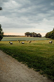 Green fields in Alt-Lübars, Germany