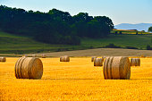 Haystack and hay bales in the farmland.