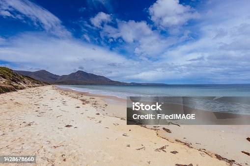 istock Hazards Beach In Freycinet Tasmania Australia 1428678660