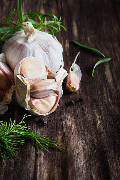 head of garlic and herbs stock photo