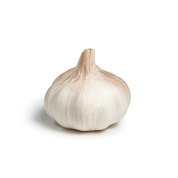 head of garlic isolated one head of unpeeled garlic on a white background isolated with shadow garlic stock pictures, royalty-free photos & images
