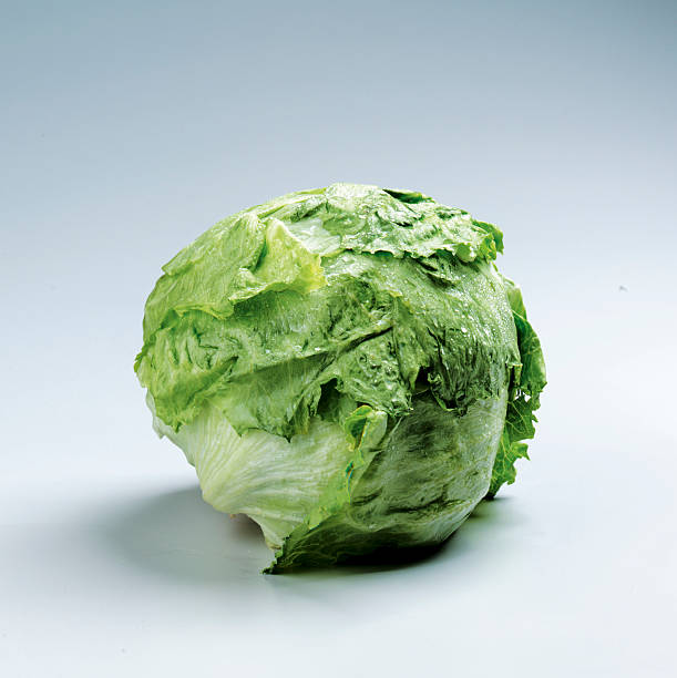 head of lettuce stock photo