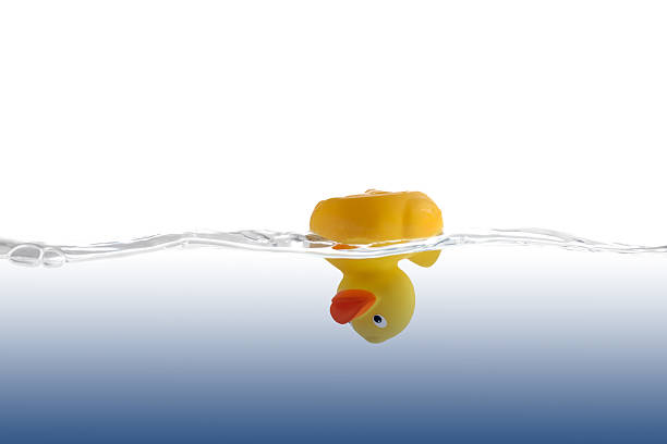 Head-Down Rubber Duckling stock photo