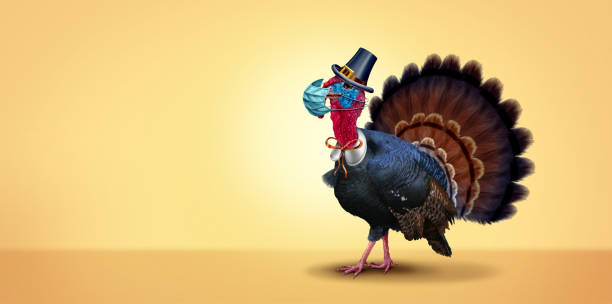Health And Thanksgiving Healthy Thanksgiving banner as a seasonal sign with a turkey tom or gobbler wearing a medical face mask and surgical facial protection for disease prevention and virus protection with 3D illustration elements. thanksgiving turkey stock pictures, royalty-free photos & images