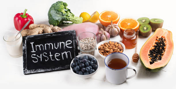 makanan kesehatan untuk meningkatkan sistem kekebalan tubuh. - sistem imun potret stok, foto, & gambar bebas royalti