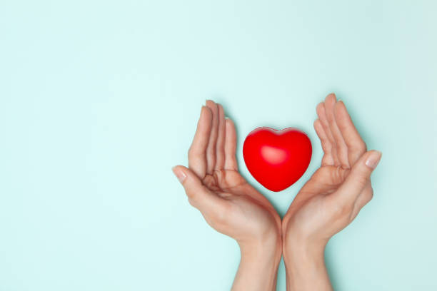 Health, medicine and charity concept - close up of female hands with small red heart stock photo
