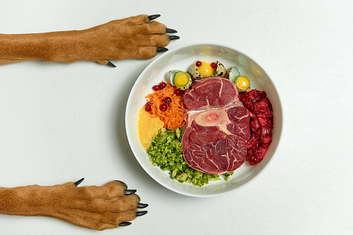 thức ăn dinh dưỡng cho chó