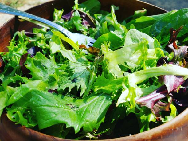 Healthy Salad stock photo