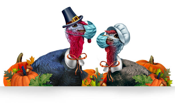 Healthy Thanksgiving Healthy Thanksgiving banner as a seasonal sign with a turkey tom or gobbler and a hen and  each wearing a face mask and surgical facial protection for disease protection with 3D illustration elements. turkey meat stock pictures, royalty-free photos & images