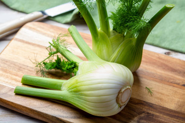 Healthy vegetable diet, raw fresh florence fennel bulbs stock photo