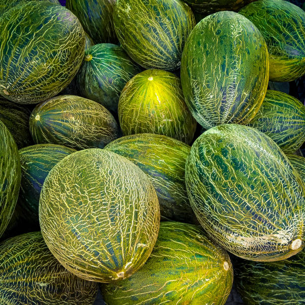 heap of melons stock photo