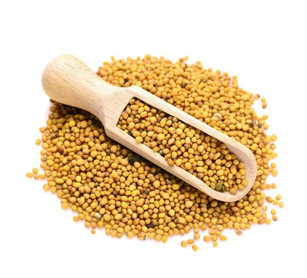 heap of mustard seeds isolated on white stock photo