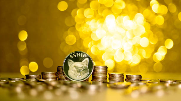 Heap of Shiba Inu on shiny golden background stock photo