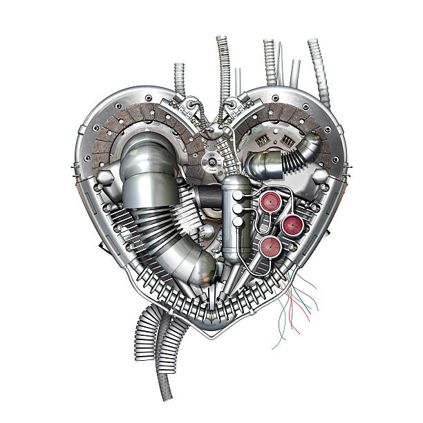 Heart, 3D illustration stock photo