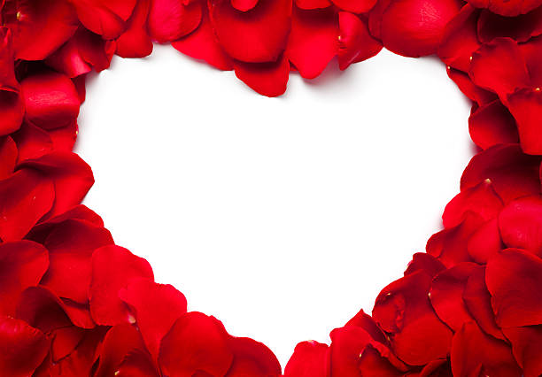 Heart Heart made of red rose petals petal photos stock pictures, royalty-free photos & images