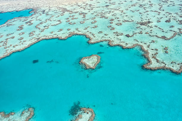 heart reef - great barrier reef stok fotoğraflar ve resimler
