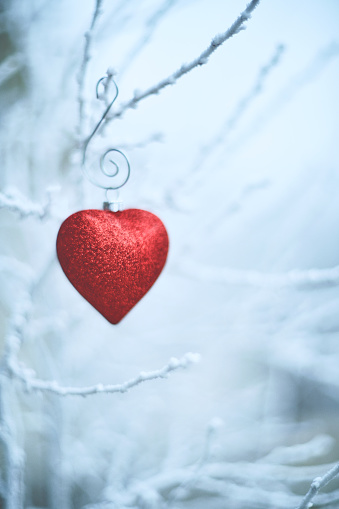Heart shaped Christmas ornaments on snowy branches