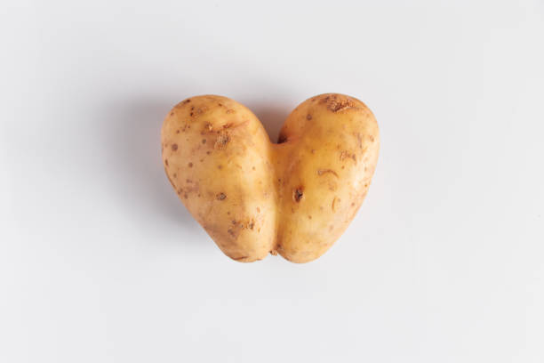 Heart shaped potatoes on a white background. Ugly food, valentine's day concept. stock photo