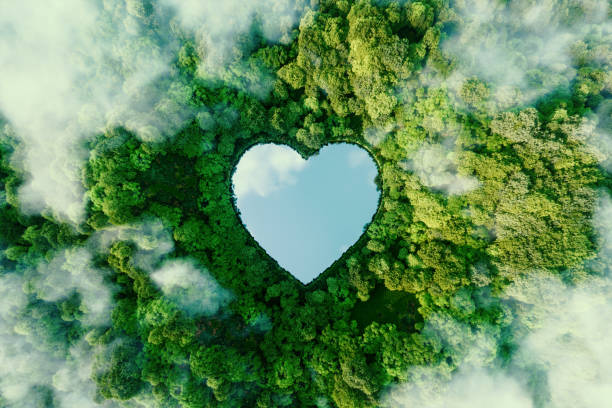 A heart-shaped lake in the middle of untouched nature - a concept illustrating the issues of nature conservation, bio-products and the protection of forests and woodlands in general. 3d rendering. stock photo