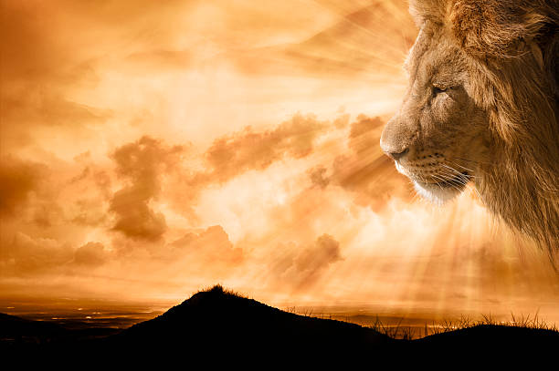 Heavenly Lion Over Lookng the Earth stock photo