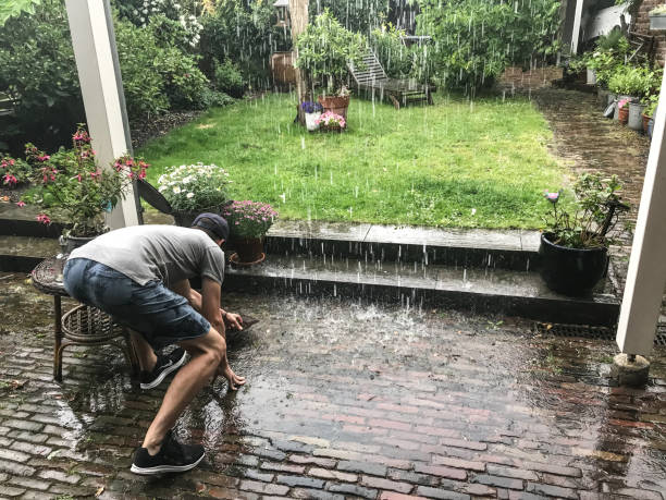 douche de pluie lourde - pluie jardin photos et images de collection