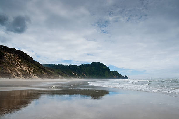 Heceta Head Reflected in the Wet Sand The landscapes and seascapes of the Pacific Coast are a constant source of inspiration for photographers. This picture of Heceta Head reflected in the wet sand was photographed from Heceta Beach at Carl G. Washburne Memorial State Park near Florence, Oregon, USA. jeff goulden oregon coast stock pictures, royalty-free photos & images
