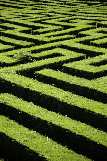 Hedge maze garden Hedge maze garden, fun and leisure, nature in spain maze photos stock pictures, royalty-free photos & images