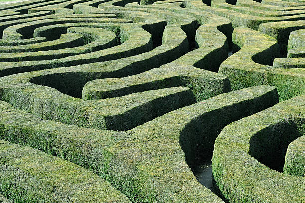 Hedge maze A abstract view of a labyrinth maze of green clipped topiary hedges and pathways maze photos stock pictures, royalty-free photos & images