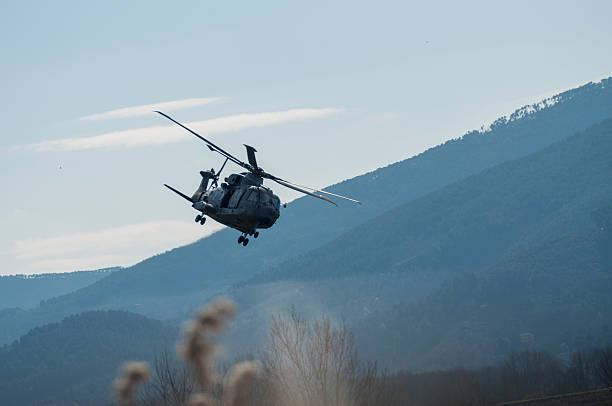 Helicopter in flight Helicopter flying very low among the trees and fields military helicopter stock pictures, royalty-free photos & images