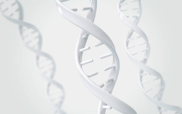 DNA helix of Genetic engineering and gene manipulation stock photo