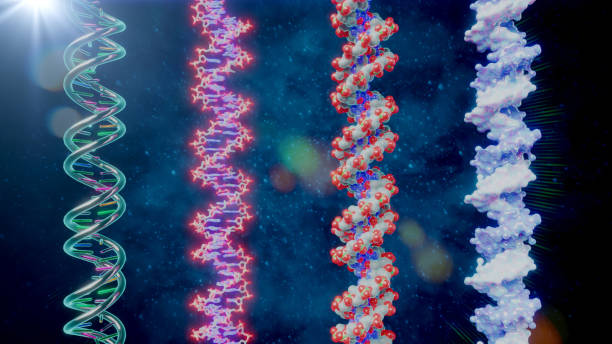 DNA Helix Visualization stock photo