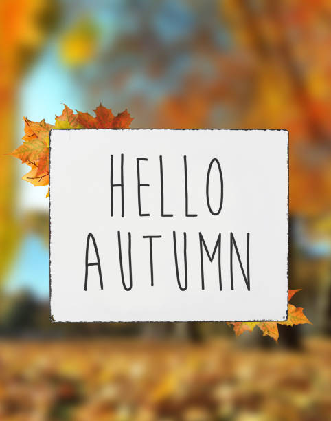 Hello autumn text on white plate board banner fall leaves blur background stock photo