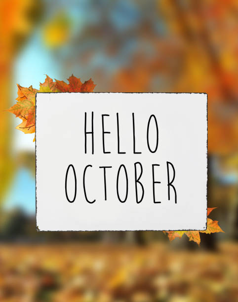 Hello October autumn fall colors text on white plate board banner fall leaves blur background stock photo