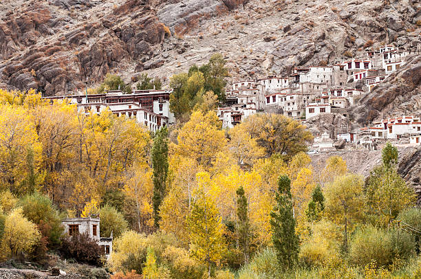 hemis monastery hemis monastery in autumn leh district stock pictures, royalty-free photos & images