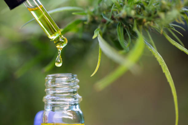 cbd hennepolie, hand houden fles cannabis olie in pipet - hennep stockfoto's en -beelden