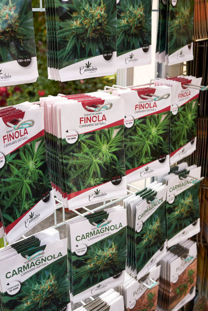 Что будет за пакет конопли особенности выращивания марихуаны