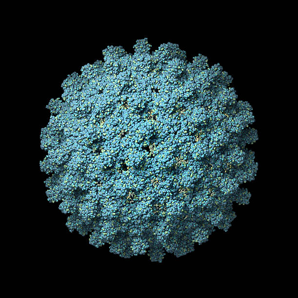 Hepatitis B virus isolated on a black background Model of a human Hepatitis B disease virus capsid. theasis stock pictures, royalty-free photos & images