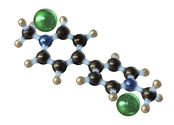 Herbicide Molecule "A ball and stick molecular model of N,NaA-dimethyl-4,4aA-bipyridinium dichloride, more commonly known as Paraquat. It is one of the most widely used herbicides in the world, despite being banned in the EU. It is fast-acting, non-selective, and very toxic.Isolated on white." theasis stock pictures, royalty-free photos & images