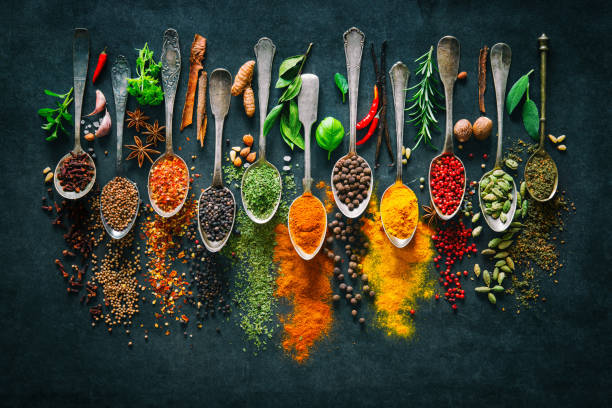herbs and spices for cooking on dark background - condimento temperos imagens e fotografias de stock