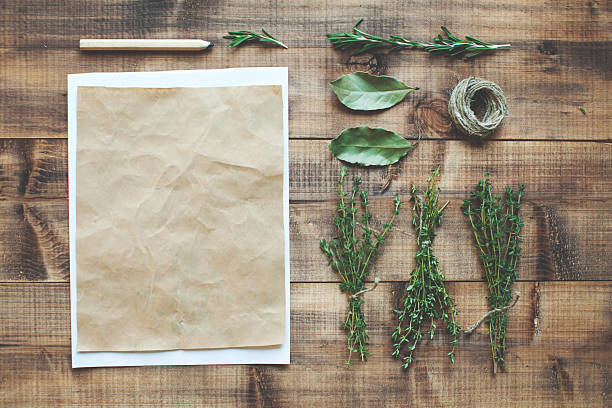 herbs - plankje plant touw stockfoto's en -beelden