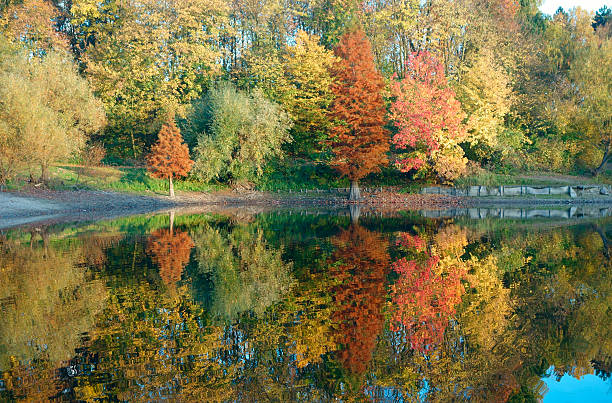 Herbstsee stock photo