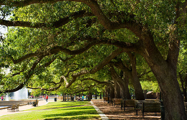 Hermann Park in Houston is one of the top fun attrctions in Houston with miles of land to walk, a Japanese garden, and the Houston Zoo.