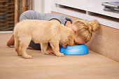 Cute kid eating with her puppyhttp://195.154.178.81/DATA/i_collage/pi/shoots/783492.jpg